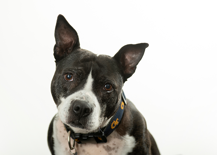 Gracie Myers Headshot