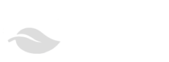 Silverleaf Management Group Logo